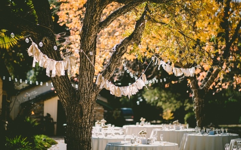 Garden party planning: The summer evening needs structure