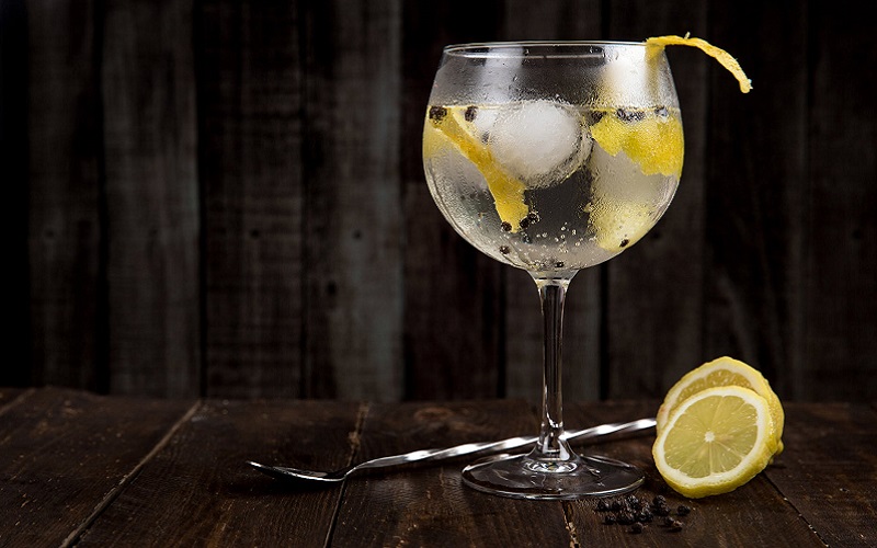 Der große Gin-Guide!