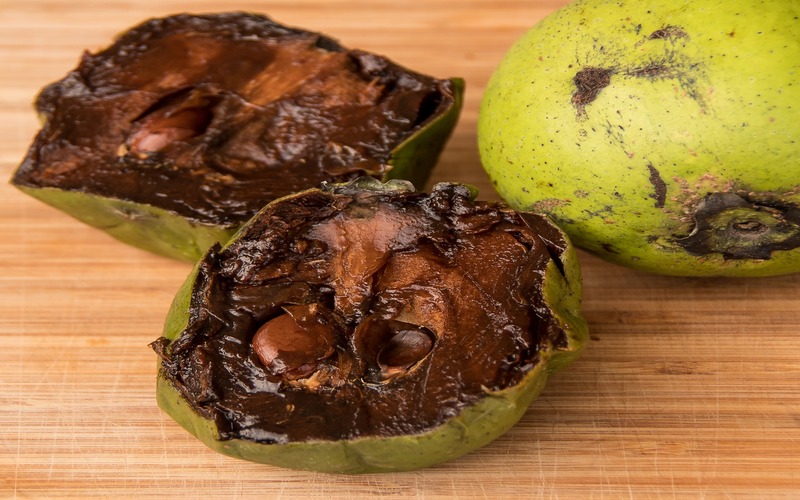 Black Sapote - Sweet Temptation Meets Superfruit