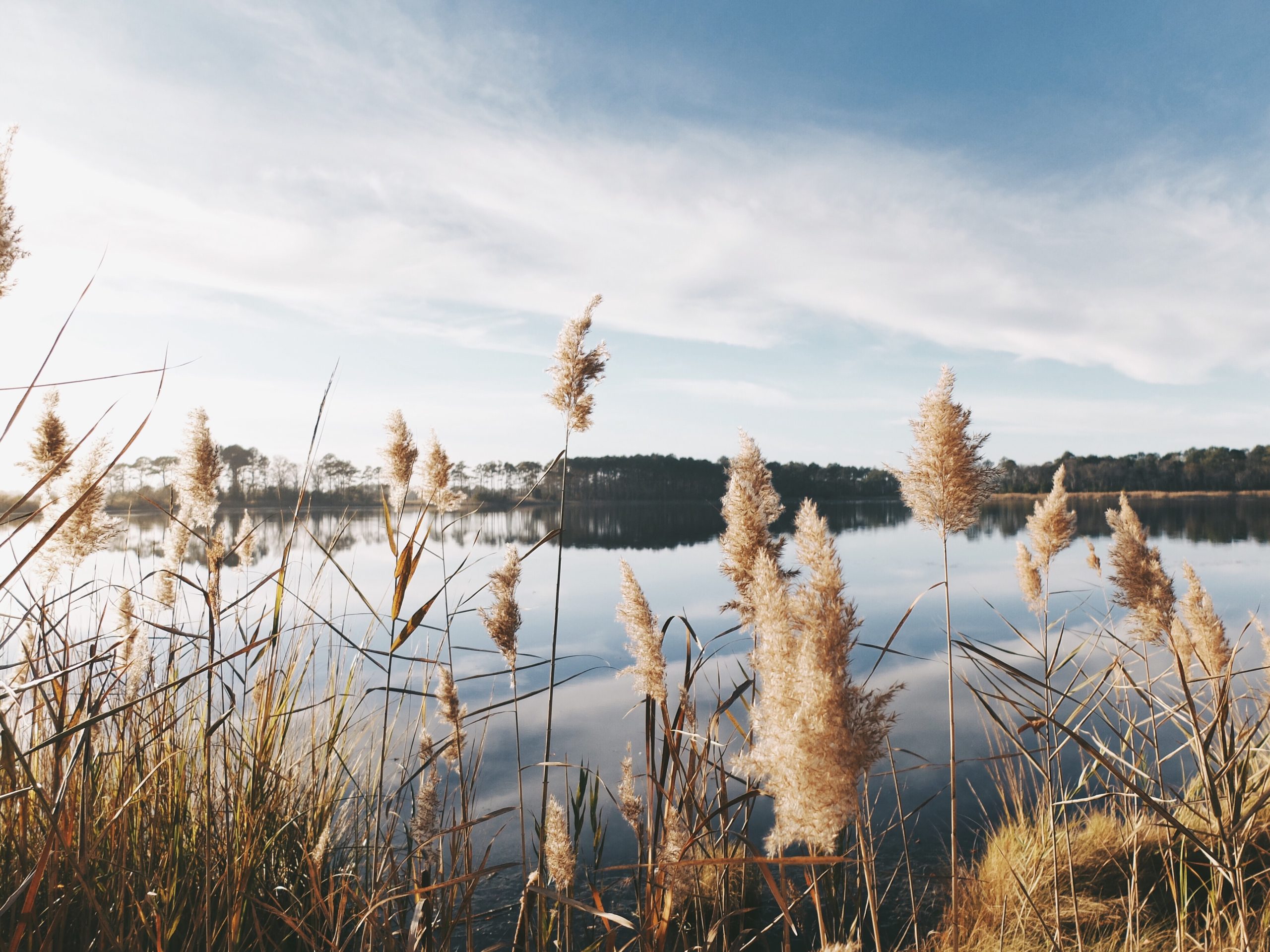 Die drei schönsten Badeseen in Norddeutschland