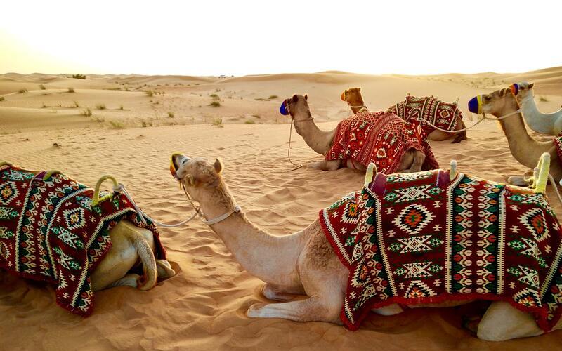 Youdressed Weekend In Dubai - Wie deine Zeit in Dubai zum größten Highlight des Jahres wird