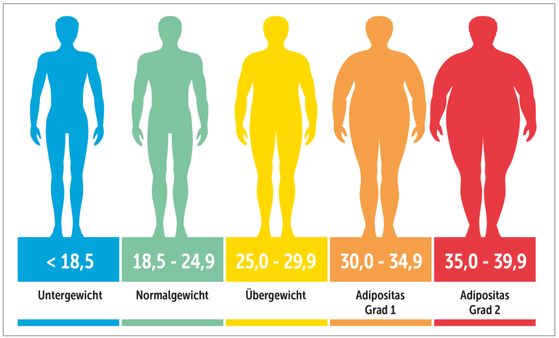 BMI, waist, ponderal index: Do the weight formulas really work?