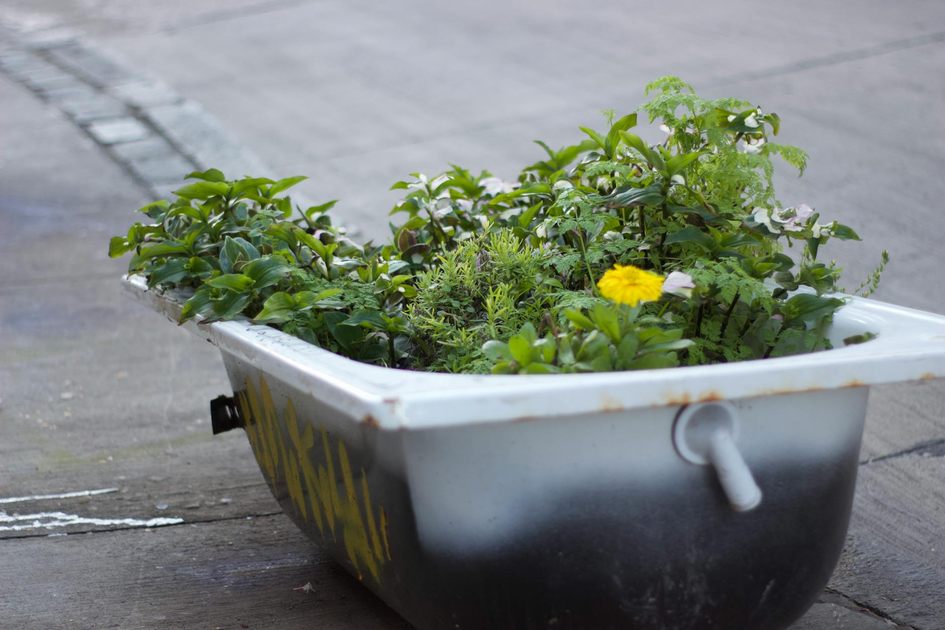 Alte Badewanne als Pflanzgefäß auf dem Gehweg, dicht bepflanzt mit Kräutern und Blumen - urbanes Upcycling
