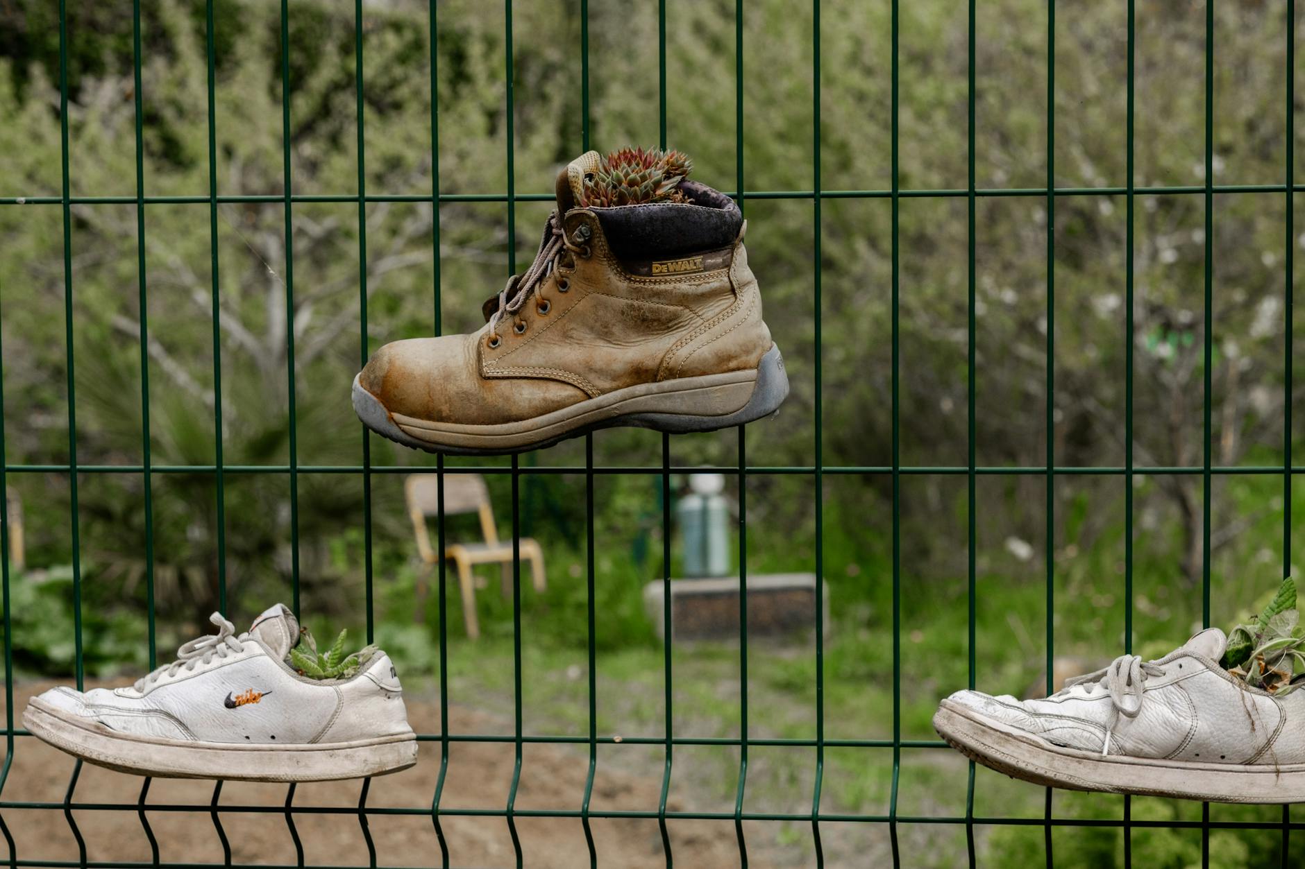 Ausrangierte Schuhe als Pflanztöpfe am Gartenzaun, bepflanzt mit Sukkulenten - Upcycling im Garten