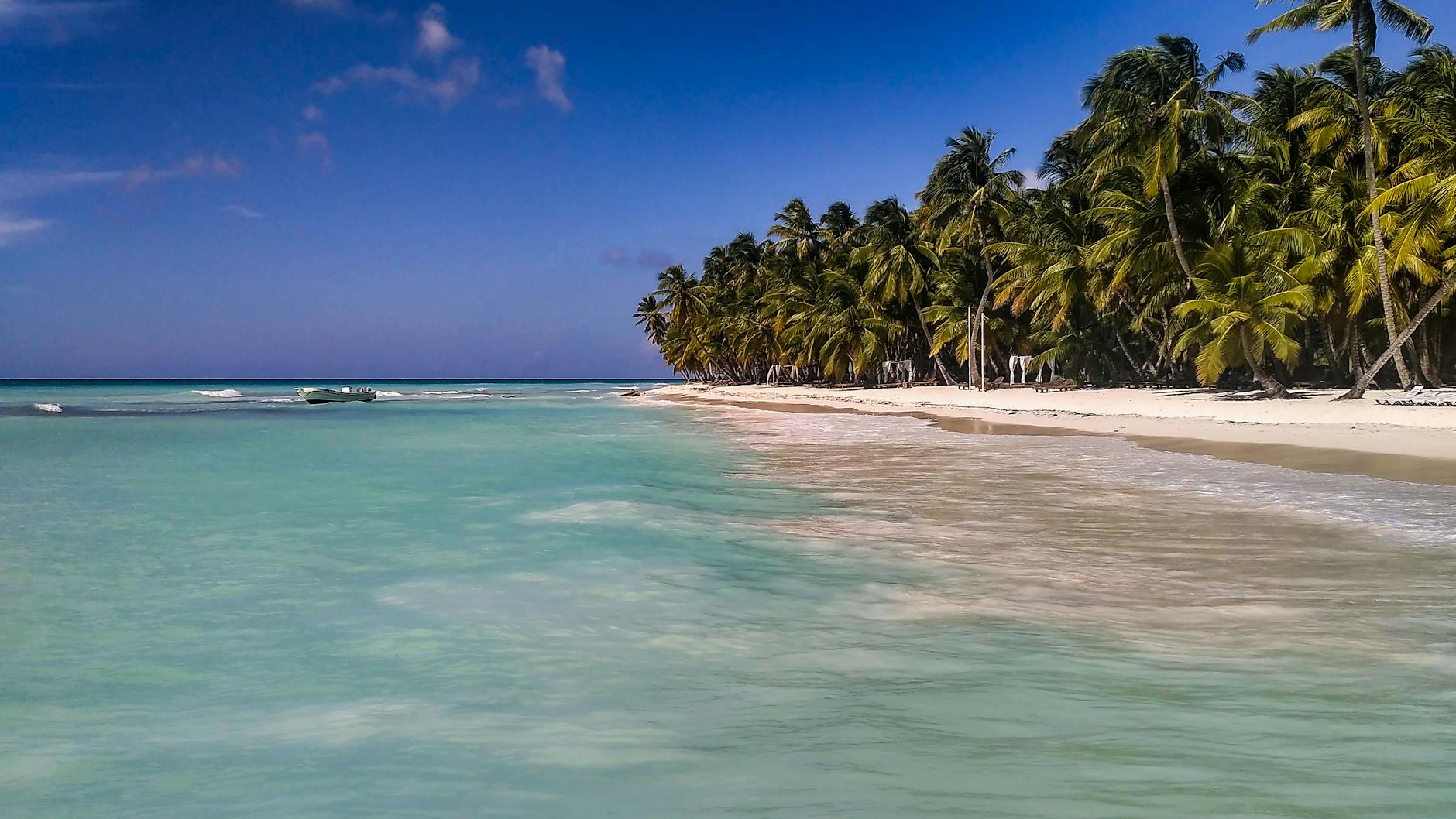 Palmengesäumter weißer Sandstrand mit türkisem Wasser in der Region La Altagracia, Dominikanische Republik, nahe Saona