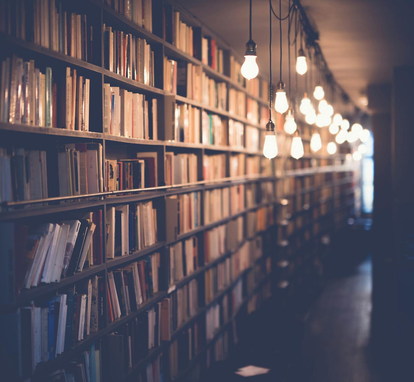 Lange Bücherwand in warmem Licht mit hängenden Glühbirnen entlang des Regals