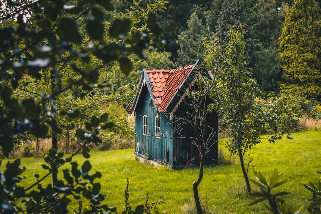 Kleines abgelegenes Haus im Grünen, umgeben von Bäumen und einer Wiese