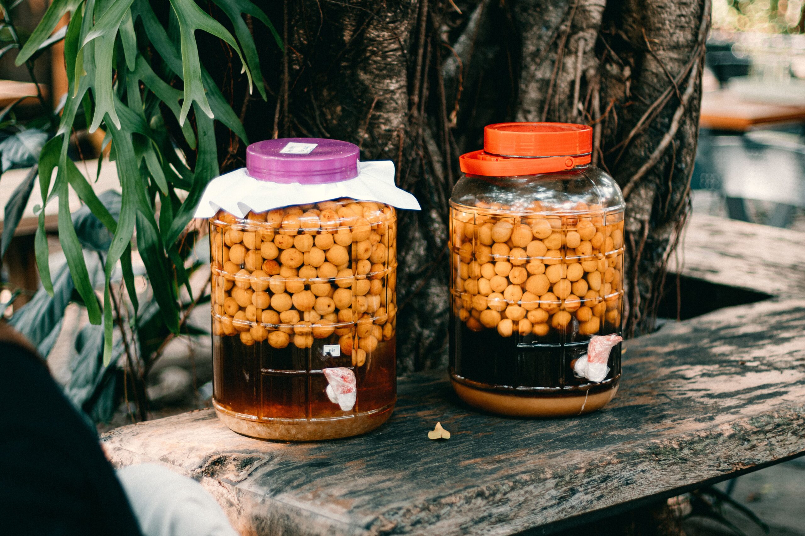 Kombucha in einem Glasgefäß mit sichtbaren Fermentationsschichten
