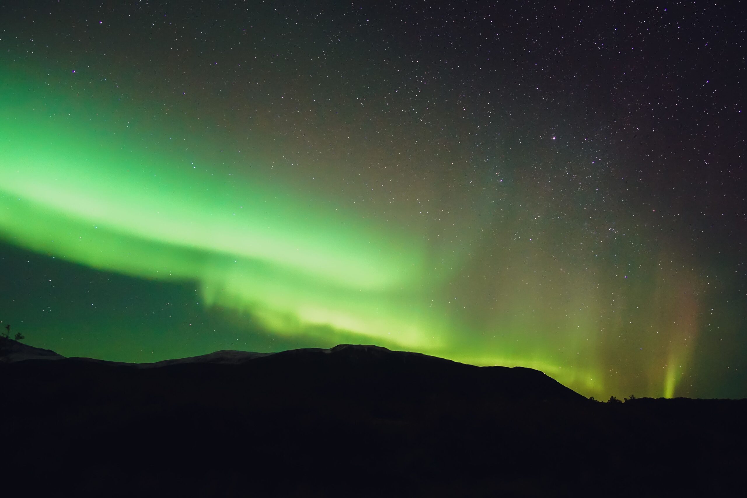 Farbenfrohe Polarlichter über dem nächtlichen Himmel