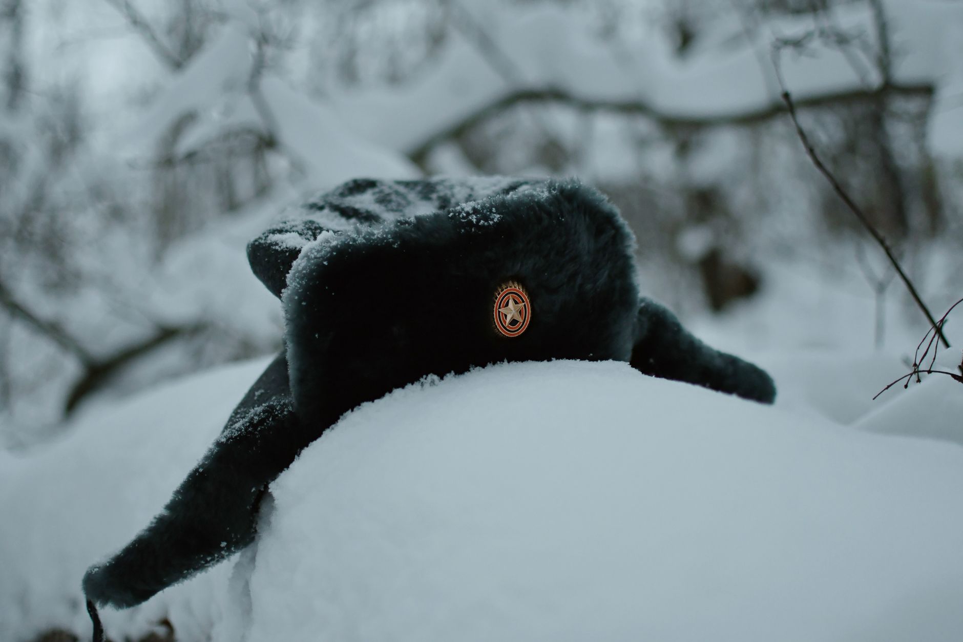 A fur trapper hat rests on snow-covered wood in a serene winter forest setting.