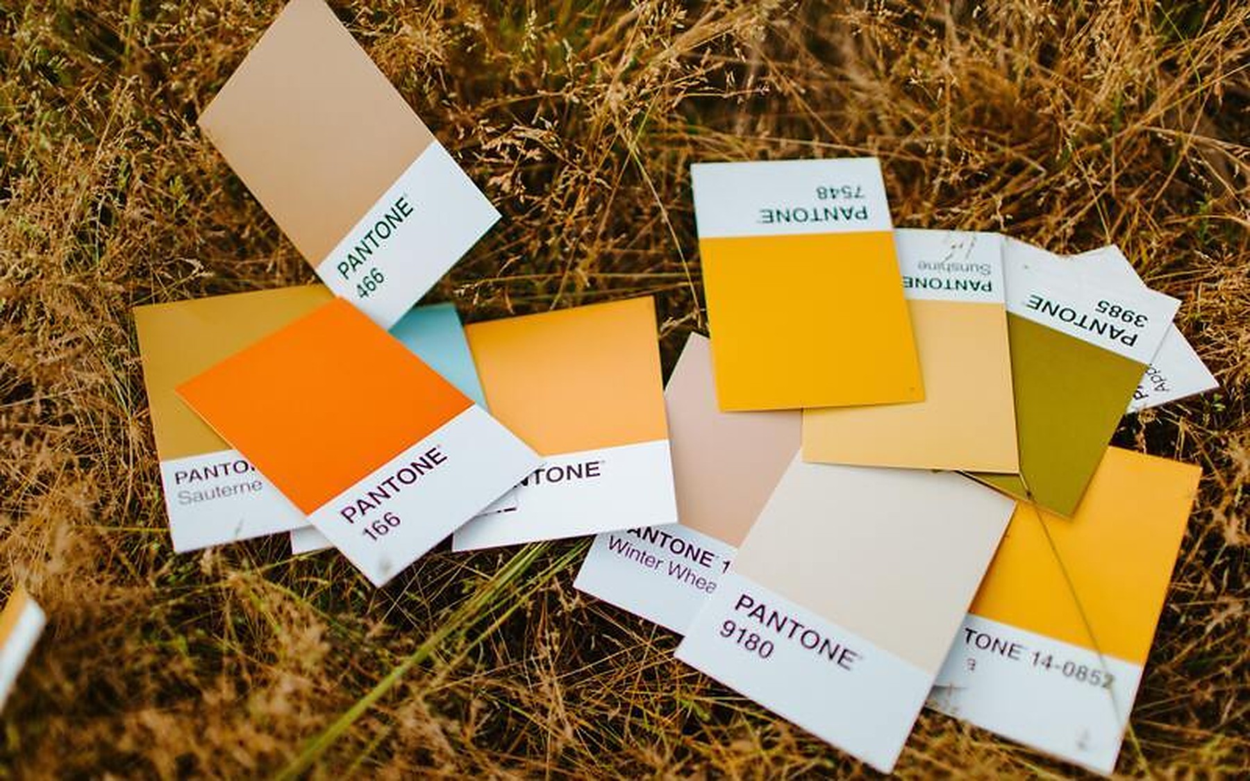 Trendtöne im Herbst: Diese Farben werden wir dieses Jahr überall sehen
