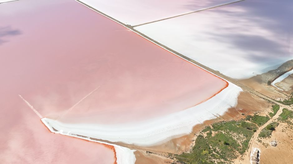 Salzlagune der Camargue mit charakteristischer Rosa-Färbung